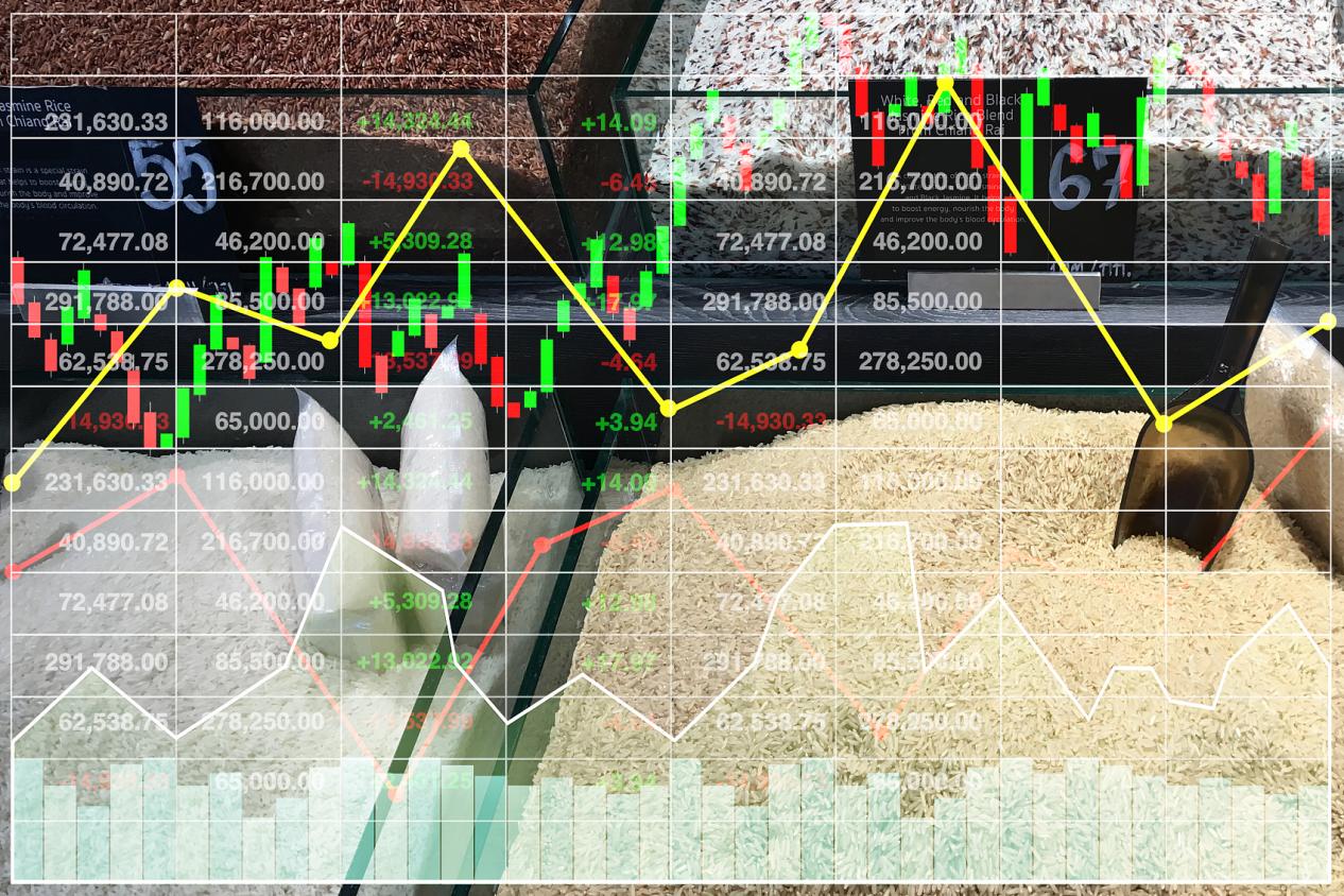 化解交易心理偏差:Wmax Broker助力金银交易者建立长期交易纪律