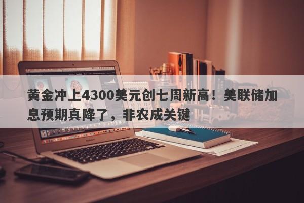 黄金冲上4300美元创七周新高！美联储加息预期真降了，非农成关键