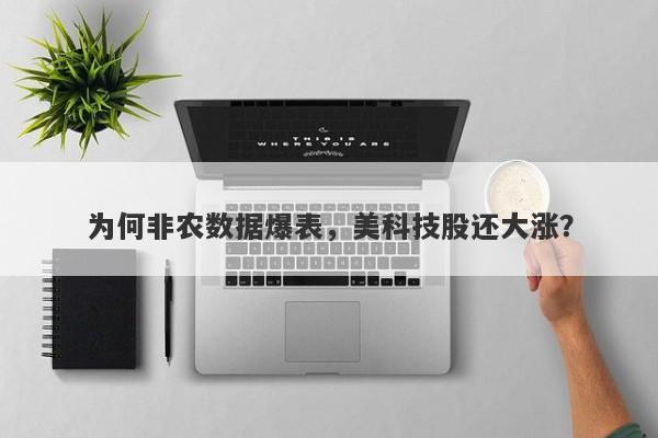 为何非农数据爆表，美科技股还大涨？