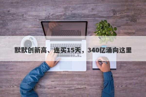 默默创新高、连买15天，340亿涌向这里