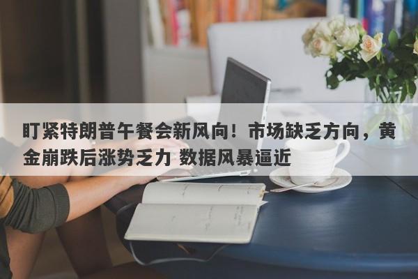 盯紧特朗普午餐会新风向！市场缺乏方向，黄金崩跌后涨势乏力 数据风暴逼近