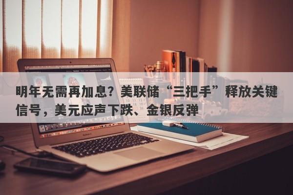 明年无需再加息？美联储“三把手”释放关键信号，美元应声下跌、金银反弹
