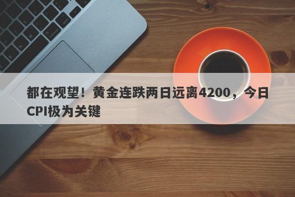 都在观望！黄金连跌两日远离4200，今日CPI极为关键