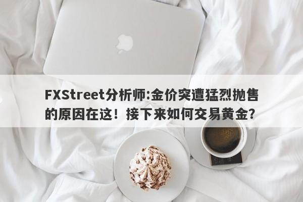 FXStreet分析师:金价突遭猛烈抛售的原因在这！接下来如何交易黄金？