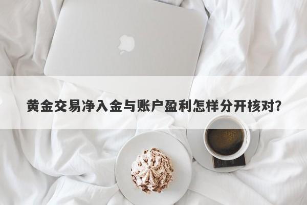 黄金交易净入金与账户盈利怎样分开核对？